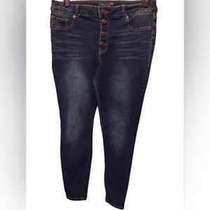 Classic High Rise Size 16   Women's  Blue Jeans